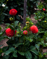 IMG_6409_3