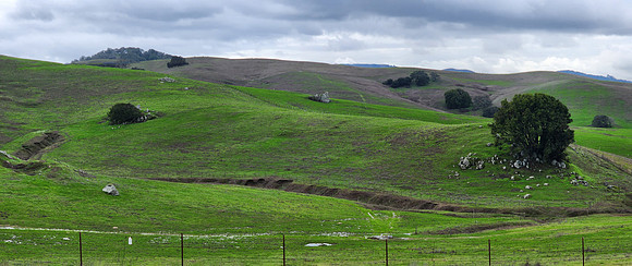 California Landscape