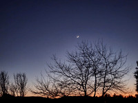 Evening in Petaluma