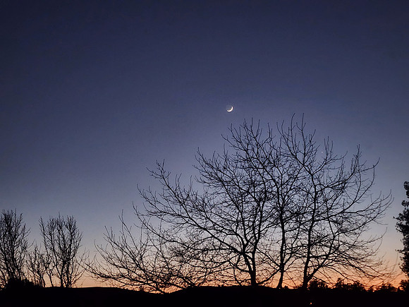 Evening in Petaluma