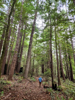 Trail on the flats