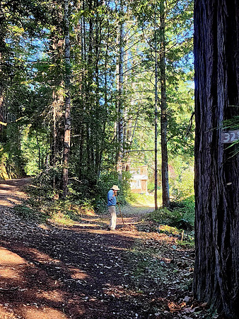 Road Split to the cabins