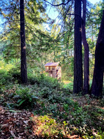 Robert"s Cabin