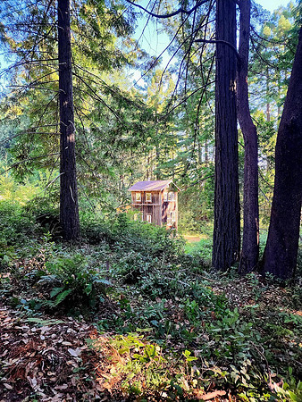 Robert"s Cabin