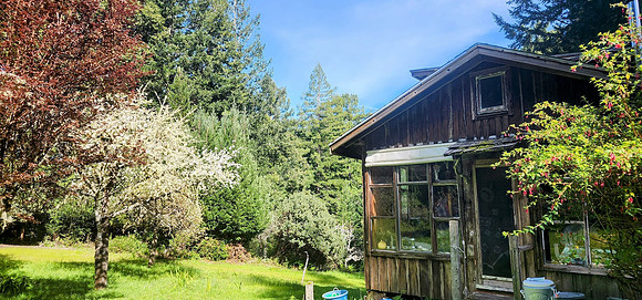 Hummingbird House