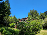 Apples and Cabin