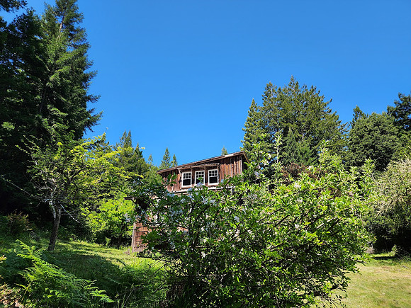Apples and Cabin