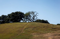 Oak Hillside Edgewood