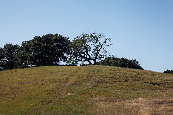 Oak Hillside Edgewood