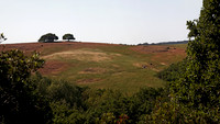 IMG_7349_pano