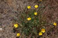 IMG_7425_DxO