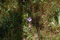 IMG_7428_DxO