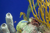IMG_7781_dev