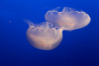 IMG_7697_dev