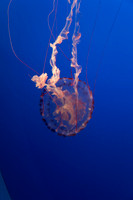 IMG_7701_dev