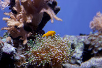 IMG_7737_dev