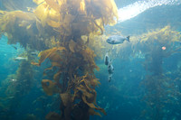 IMG_7832_dev