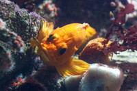IMG_7838_dev