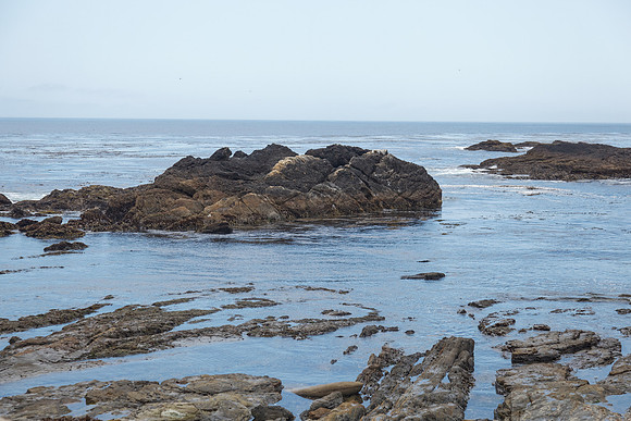 Point Lobos Coastline