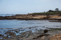Point Lobos Coastline