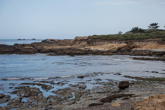 Point Lobos Coastline