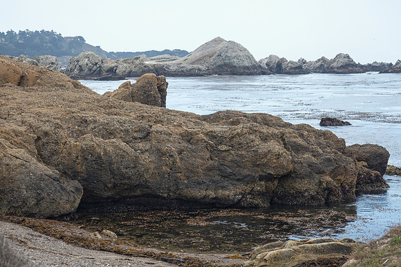 Point Lobos Coastline