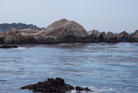 Bird Island
