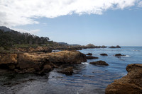 Point Lobos Coastline