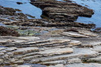 Marine terraces
