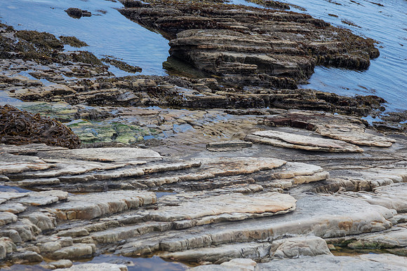 Marine terraces