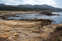 Point Lobos Coastline