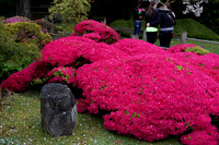 IMG_6735_DxO