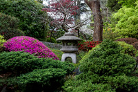 IMG_6763_DxO