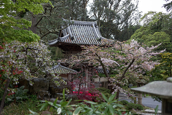 IMG_6755_DxO