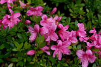 IMG_6765_DxO