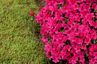 IMG_6759_DxO