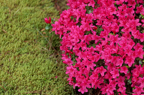 IMG_6759_DxO