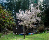 IMG_9701pano.jpg