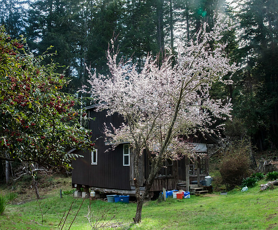 IMG_9701pano.jpg