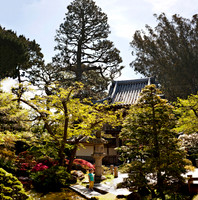 Japanese Tea Garden Golden Gate Park