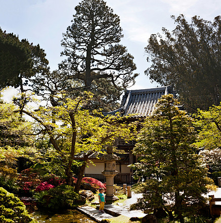 fromtheteahouse_DxO