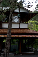 IMG_6754_DxO