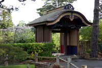 IMG_6745_DxO
