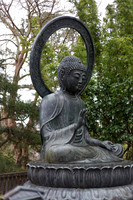 IMG_6750_DxO