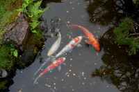 IMG_6740_DxO