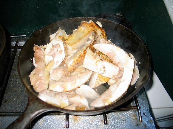 Agaricus augustus