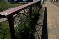 Foot Bridge Railing