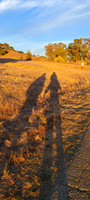 Helen Putnam Walks