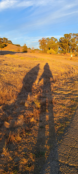 Golden Hour Shadows Helen Putnam Park