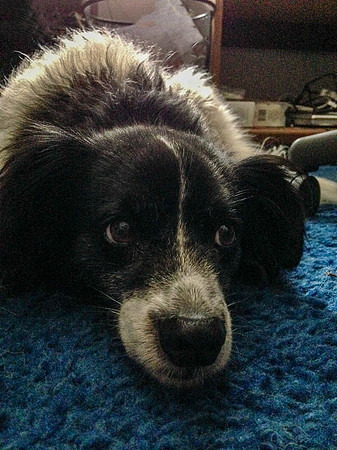 Rocky looking blue